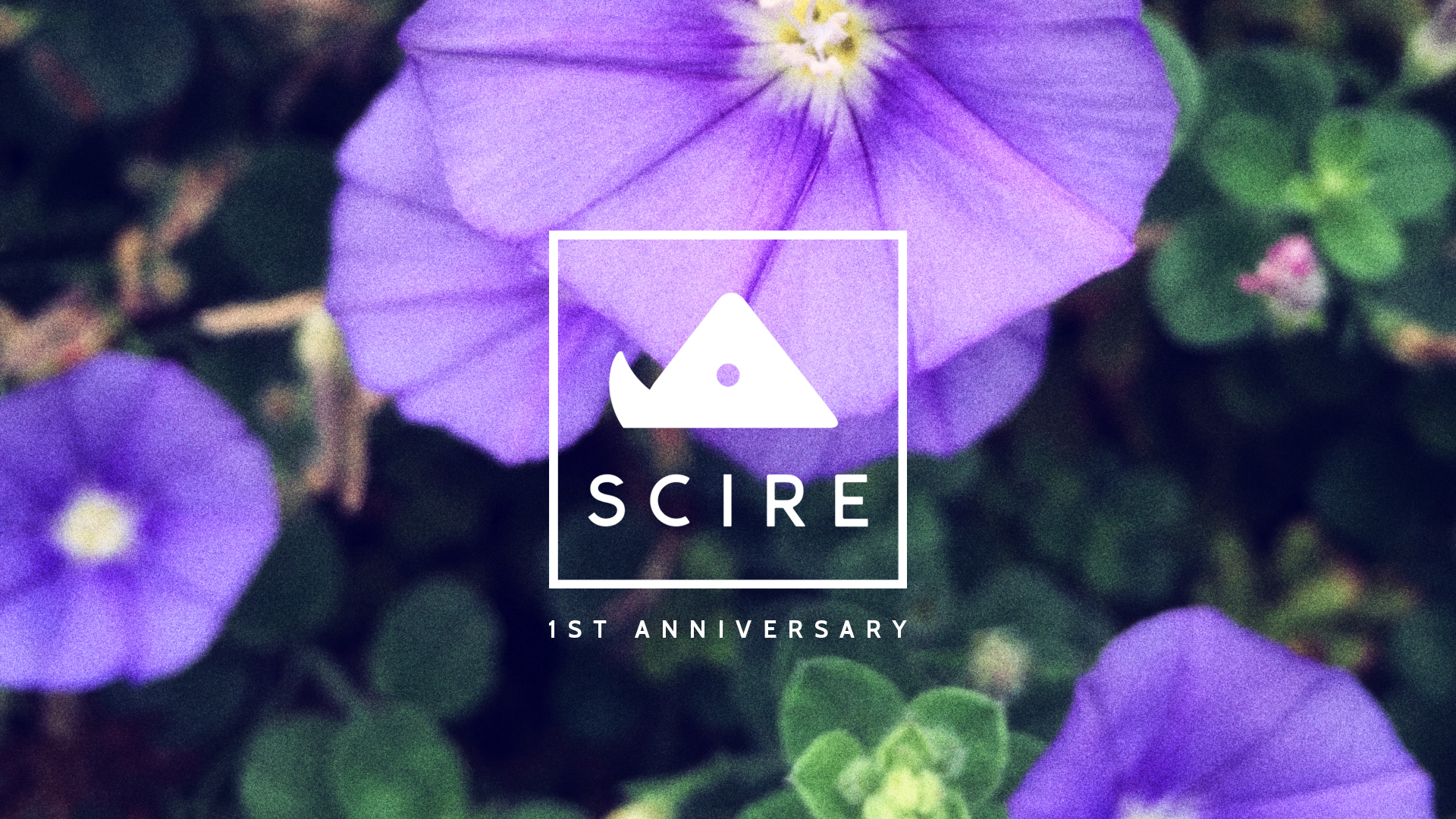 SCIRE | 1st Anniversary