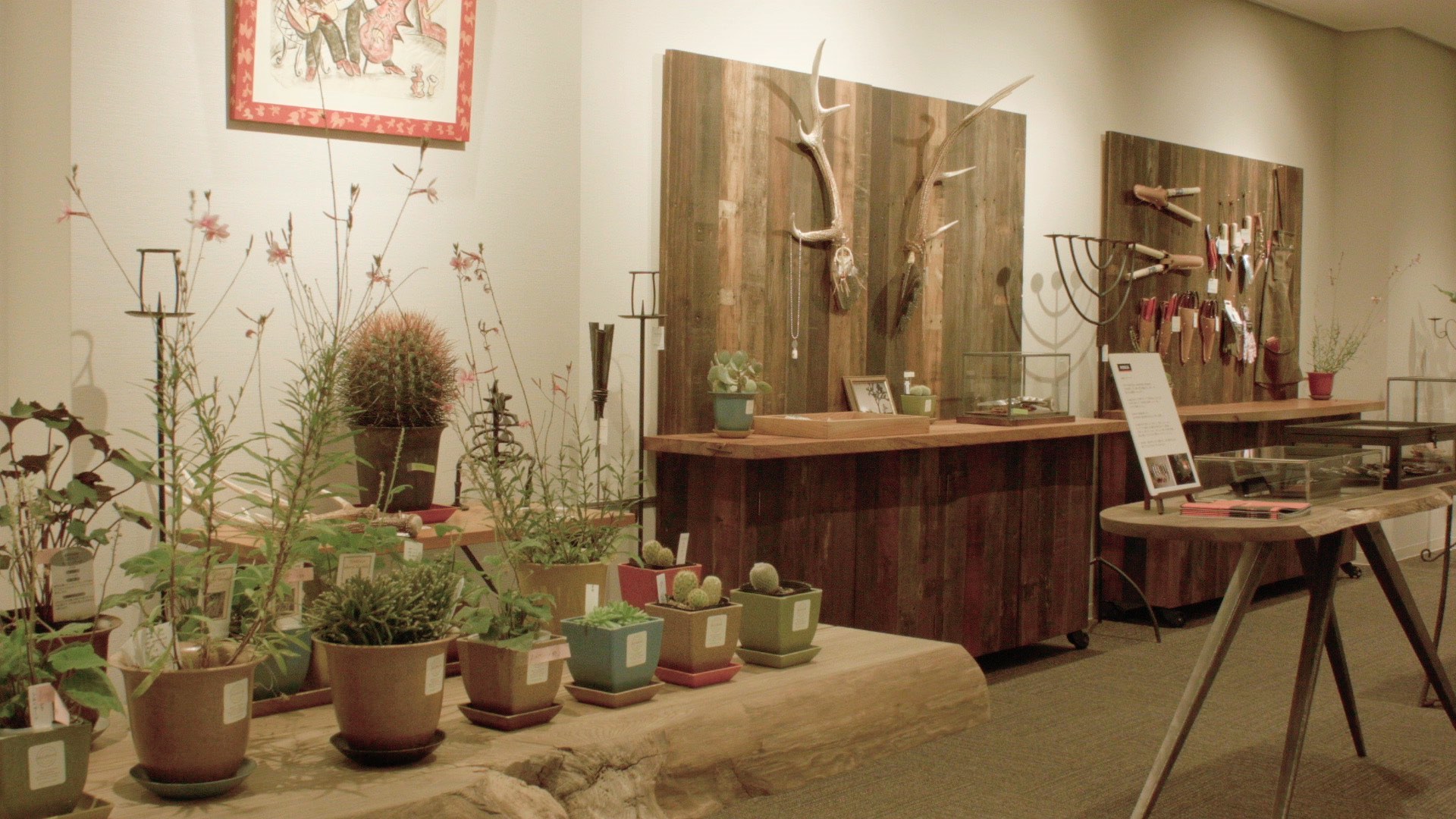 FEDECA The Blossoms General Store SCIRE