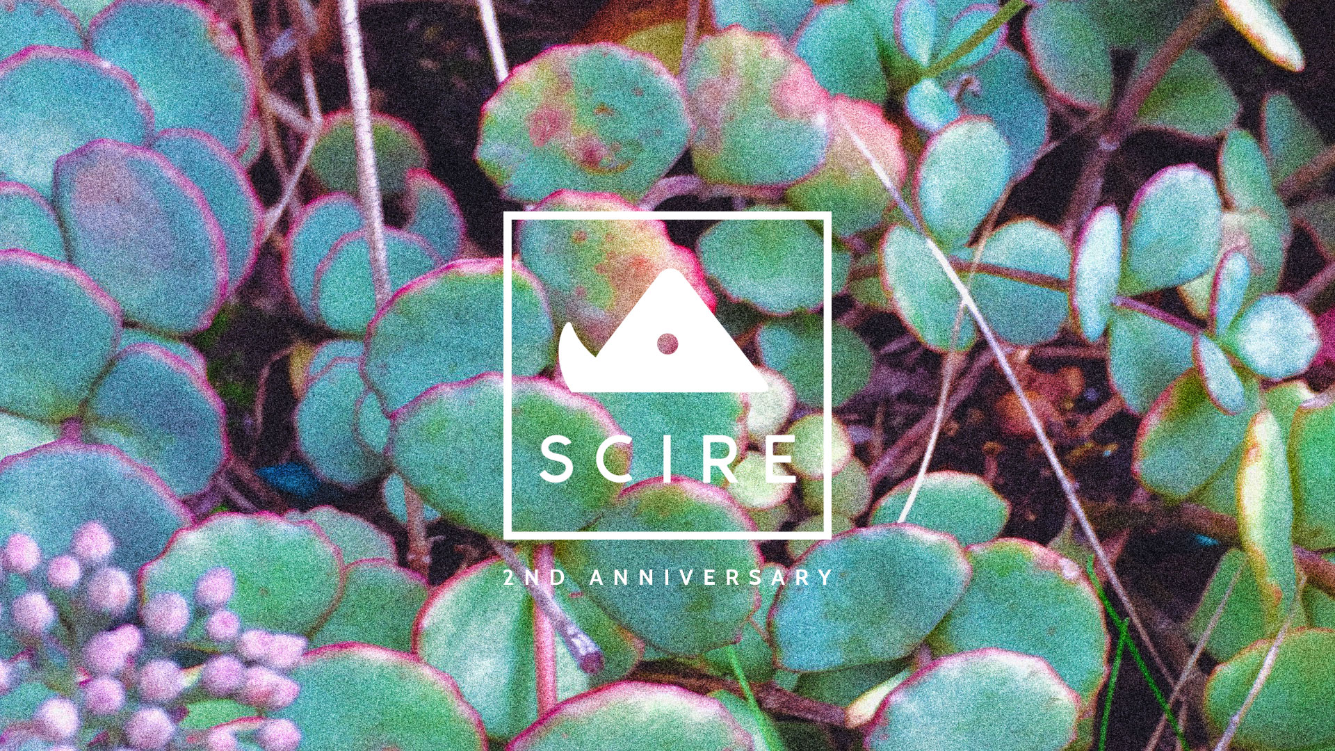 SCIRE | 2nd Anniversary